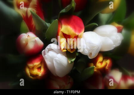 Happy Birthday! Vase with Beautiful Rose Flowers on Table Near White Brick  Wall Stock Photo - Image of event, petal: 221551430