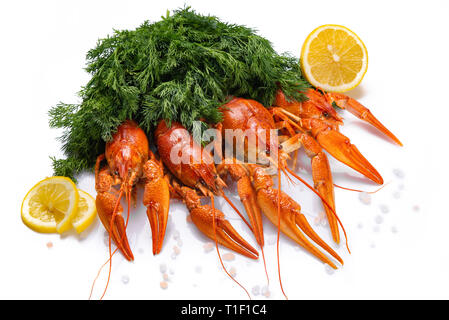 Red boiled crayfish on the white background. Copy space, card Stock Photo