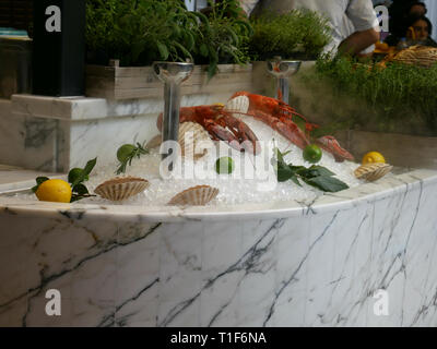 Two lobsters on a pile ice with shells and whole lemons Stock Photo