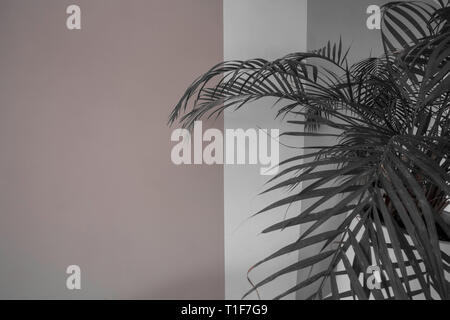 Close up green plant over grey and white painted wall, retro design colorful background texture Stock Photo