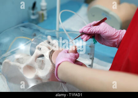 treatment prostate. concept working out operation for catheterization prostate physician. training skills dummy. medical student exams Stock Photo