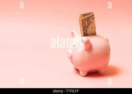 Piggy bank with dollar on living coral background. Commercial concept Stock Photo