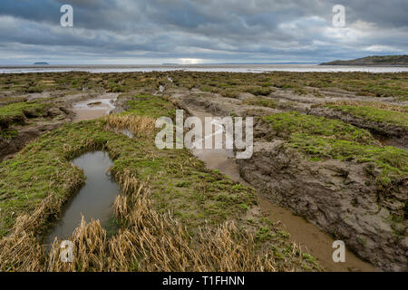 Mudflats at Sand Bay where the Bristol Channel meets the Mouth of the River Severn in North Somerset, England. Stock Photo