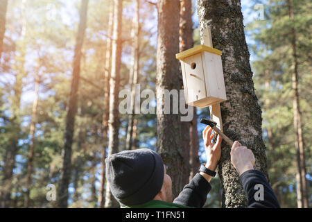 man nailing birdhouse on the tree trunk in the forest Stock Photo