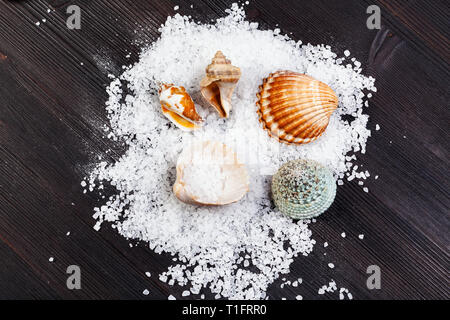 top view of coarse grained Sea Salt and seashells on dark brown wooden board Stock Photo