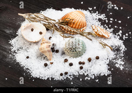 various shells and coarse grained Sea Salt and peppercorns on dark brown wooden board Stock Photo