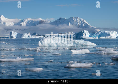 Antarctica. Cuverville Island located within the Errera Channel between Ronge Island and the Arctowski Peninsula. Ice filled bay. Stock Photo