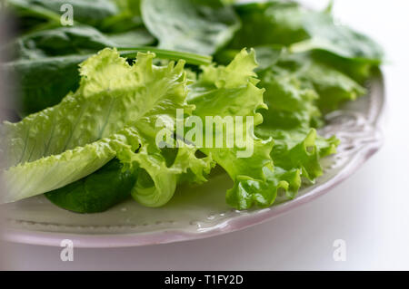 A mixture of spinach leaves and salana leaves on a plate. Selective focus, white background Stock Photo