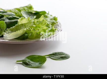 A mixture of spinach leaves and salana leaves on a plate. Selective focus, white background Stock Photo