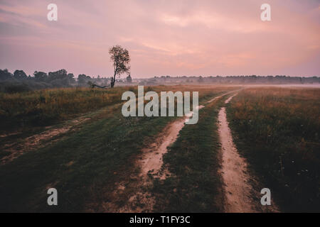 Fog over country road and lonely tree without leaves with the sunset on background, Russia Stock Photo