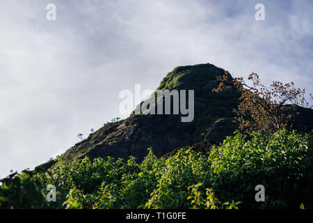 Rock with trees and grass in Sri Lanka Stock Photo