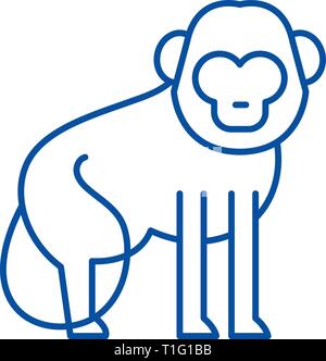 Baboon line icon concept. Baboon flat  vector symbol, sign, outline illustration. Stock Vector