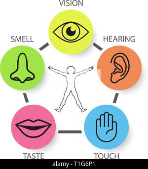 Icon set of five human senses: vision, smell, hearing, touch, taste Stock Vector