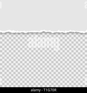 Torn a half sheet of grey paper on a isolated background, vector illustration Stock Vector