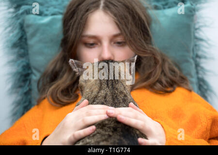 Portrait of young woman holding cute  cat . Female hugging her cute long hair kitty Stock Photo