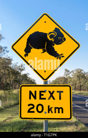 Beware of Koalas crossing road sign in Queensland, Australia Stock Photo