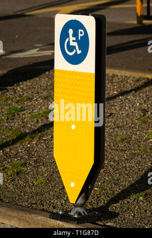 Flexible yellow bollard. Wheelchair symbol on yellow car park bollard showing reserved parking space for disabled drivers