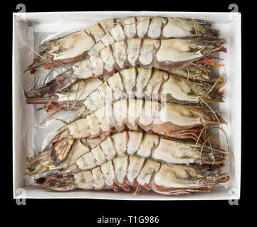 Giant prawns in retail pack, isolated on black with clipping path Stock Photo