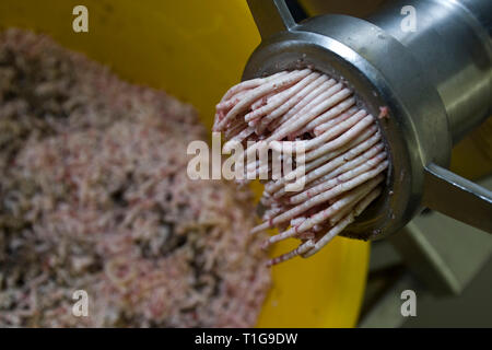 Champion haggis maker John Potter, who relocated from his native Scotland to Merseyside, mincing the boiled meat for haggis at Braveheart Butchers which he owns in Wallasey, Wirral. Haggis is a dish containing sheep's 'pluck' (heart, liver and lungs), minced with onion, oatmeal, suet, spices, and salt, mixed with stock, and traditionally boiled in the animal's stomach for approximately three hours. It is a traditional Scottish dish usually served with 'neeps and tatties' (swede, yellow turnip and potatoes, boiled and mashed separately) and a 'dram' of Scotch whisky), especially as the main cou Stock Photo