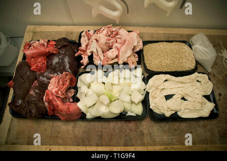 A tray of haggis ingredients at Braveheart Butchers in Wallasey, Wirral, owned by champion haggis maker John Potter, who relocated from his native Scotland to Merseyside and continues to make award-winning haggis. Haggis is a dish containing sheep's 'pluck' (heart, liver and lungs), minced with onion, oatmeal, suet, spices, and salt, mixed with stock, and traditionally boiled in the animal's stomach for approximately three hours. It is a traditional Scottish dish usually served with 'neeps and tatties' (swede, yellow turnip and potatoes, boiled and mashed separately) and a 'dram' of Scotch whi Stock Photo