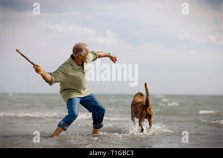 Mature adult man throwing a stick for his dog on a beach. Stock Photo