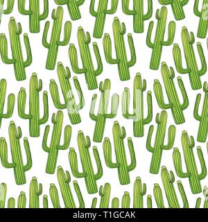Seamless pattern with mexican cactus with spines or thorns and flowers as banner for cinco de mayo holiday or celebration. Edible or eatable, esculent cacti saguaro, indian fig or mammillaria cactus. Stock Vector