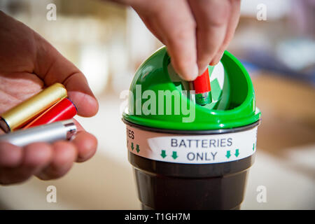 Man putting used batteries into recycling box at home. Child in the nursery room playing with toys. Separating waste concept. Batteries Only. Stock Photo