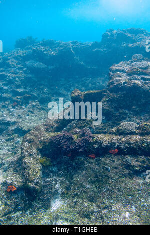 Site of the Batavia shipwreck on Morning reef in the Wallabi Group of the Houtman Abrolhos. On June 4, 1629 the Dutch East India Company (VOC) ship Ba Stock Photo