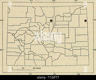 Distribution of mammals in Colorado Distribution of mammals in Colorado  distributionofma31972arms Year: 1972  1972 ARMSTRONG: COLORADAN MAMMALS 41 that area, and reports of damage to crops are received frequently from farmers. I have heard similar reports in the lower Arkansas River Valley. On the other hand, near the divide between the South Platte and Arkansas rivers, on Big Sandy Creek, residents of Ramah claimed never to have seen opossums and to have had no report of them from that area. Apparently, the greatest numbers occur in the major valleys near the eastern boundary of the state, a Stock Photo