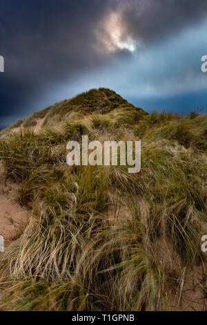 Mountain of Marram, Marram Grass Dune, Balnakeil Beach, near Durness,  Sutherland, North West Scottish Highlands, Scotland, UK Stock Photo