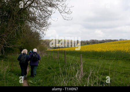 Rear view of ramblers walking along a footpath beside fields Stock Photo