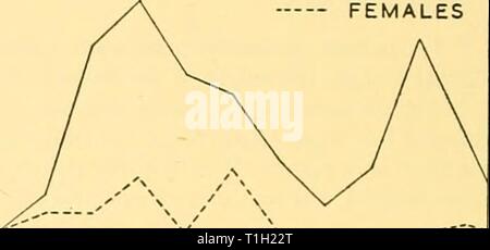 Discovery reports (1957) Discovery reports  discoveryreports28inst Year: 1957  20 - 10 'i 1 1—1—1—1—1—1—r JAN FEB . MAR.APR.MAY.JUM.JUL.AUC.SEP.OCT.NOV.DEC. Fig. 15. Monthly catches of males and females in Madeira from 1951 to 1954. MALES FEMALES :i    11 1 1 — r—1 1 1—1 JAN.FEB,MAR.APR.M AY.JUN.JUL.AUC.SEP. OCT.NOV.DEC. Fig. 16. Monthly catches at Setubal, Portugal from 1946 to 1950. These remarks on the migrations of sperm whales in the eastern North Atlantic, summarized in Fig. 17, are based on the circumstantial evidence of catch statistics and they are intended as no more than conjecture Stock Photo