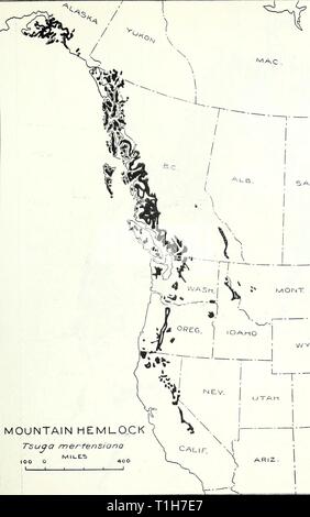 The distribution of important forest The distribution of important forest trees of the United States  distributionofim287munn Year: 1938  41 MAC ,    $ ASK. 1 wvo r L. couo MOUNTAIN HEMLO.CK Tsuga mertensiona MILES too o I 1 I 1 L. 400 I |sj. MX Map 37 TSUGA MERTENSIANA (BONGARD) SARGENT MOUNTAIN HEMLOCK Stock Photo