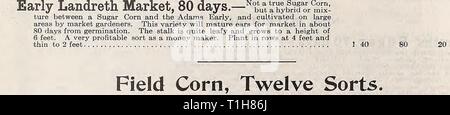 D Landreth Seed Company  D. Landreth Seed Company : [catalog]  DLandrethSeedCo00LandC Year: 19uu  Trial Grounds.—Twenty-eight le.st.- of White Spine Cucumber, distinct samples purchased from ten Seed Merchants, .uU claiming to sell strains better than their neiglibors. Two rows or fifty plants to each sample—the tests later on showing many inconsistencies or variations in merit. We know something about the merits of different brands of White Spines. Cucumber. Four Ounces of Seed to loo Yards of Row. Three Pounds to the Acre. Period of Maturity 40 to 60 Days from Sowing, According to Variety an Stock Photo