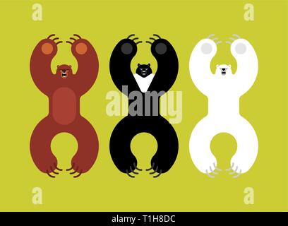 Breeds bears set. Grizzly and himalayan bear and polar bears. evil isolated cartoon style. Wild predator attacks Stock Vector