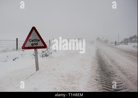 Snow covered road in a blizzard with Cattle Grid warning sign in foreground with copy space to the right Stock Photo