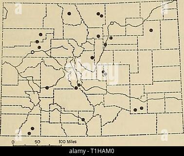 Distribution of mammals in Colorado Distribution of mammals in Colorado  distributionofma31972arms Year: 1972  1972 ARMSTRONG: COLORADAN MAMMALS 67    Fig. 24. Distribution of Lasionycteris noctivagans in Colorado. For explanation of symbols, see p. 9. Lasionycteris noctivagans (Le Conte) V[espertilio]. noctivagans Le Conte, in McMurtrie, The animal kingdom ... by the Baron Cuvier . . . , 1:431, 1831; type locality, eastern United States. Lasionycteris noctivagans, H. Allen, Bull. U.S. Nat. Mus., 43:105, 14 March 1894. Distribution in Colorado. — State-wide in suitable habitat (Fig. 24). Measu Stock Photo