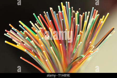 Fiber optical network cable close up Stock Photo