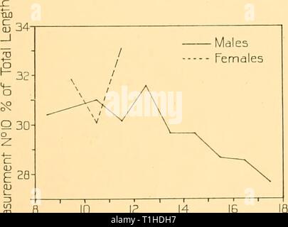 Discovery reports (1938) Discovery reports  discoveryreports17inst Year: 1938  e ID 12 14 15 Total Length in metres Fig. 6. Sperm whale. Measurement No. 9. Width of flukes at insertion.    B 10 12 14 IB Total Length in metres Fig. 7. Sperm whale. Measurement No. 10. Notch of flukes to centre of anus. Stock Photo