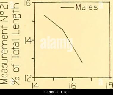 Discovery reports (1938) Discovery reports  discoveryreports17inst Year: 1938  IB ID 12 14 Total Length in metres Fig. II. Sperm whale. Measurement No. 17. Anterior end of lower border to tip of flipper. c ni 36 -J Tl y 34 1*- u 55 R 3? n  +- I U) F JO- n 1 1 )   1/1 rn (U 28- a Males Females 18 10 12 14 16 Totdl Length in metres Fig. 12. Sperm whale. Measurement No. 20. Length of severed head from condyle to tip.    Total Length in metres Fig. 13. Sperm whale. Measurement No. 21. Greatest width of skull. Stock Photo