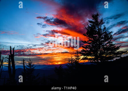 Spectacular mountain range vistas from the Clingmans Dome area in the Great Smoky Mountains National Park, outside Gatlinburg, Tennessee, USA. Stock Photo