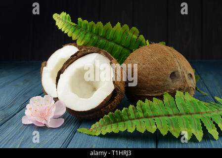banner coconut exotic fruit whole and half with leaves green  on black and blue wooden background for  cosmetics Stock Photo