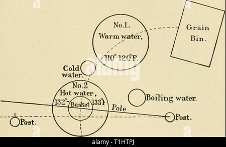 Diseases of economic plants (1910) Diseases of economic plants  diseasesofeconom00stev Year: 1910  CEREALS 373 The drained sacks or baskets of seed should be plunged into tub No. 1 for a minute, then transferred to tub No. 2, and kept agitated while immersed at temperatures and for the periods specified below, the temperatures mentioned being    Fig. 159. — Diagram showing a convenient arrangement of utensils for the Jensen hot-water treatment. Aiter Swingle. maintained as nearly as possible: For barley, 15 minutes at 52° C. (125.6° F.). For wheat, 10 minutes at 54° C. (129.2° F.). In treating Stock Photo