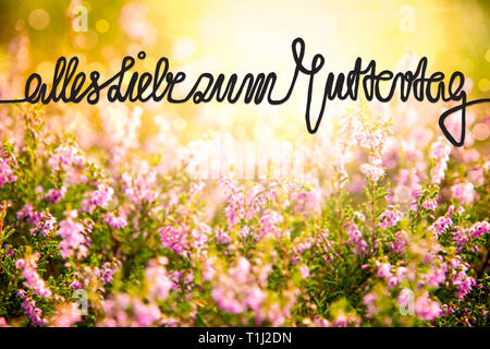 Erica Flower Field, Calligraphy Muttertag Means Happy Mothers Day Stock ...