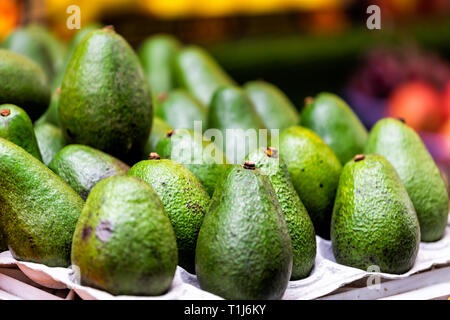 Raw green unripe avocado vegetables for sale in stall on display at farmers market in Pimlico, London Stock Photo