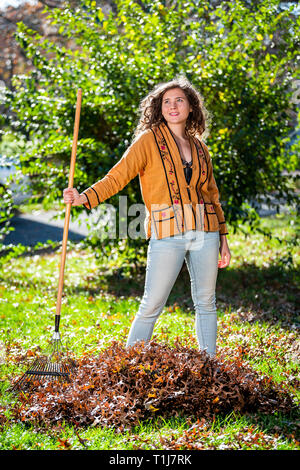 Young happy woman homeowner in garden yard backyard raking collecting of dry autumn foliage oak leaves standing with rake in sunny fall Stock Photo