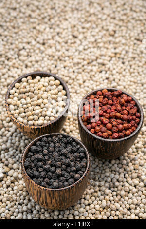 Organic kampot white red and black pepper corns in natural rustic style traditional wood bowls in cambodia on white peppercorn background Stock Photo