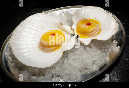 Scallop in the shell. Cold appetizer before serving in the restaurant. Scallop ceviche Stock Photo