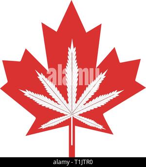 Graphic pot leafs inside canadian style maple leaf Stock Vector