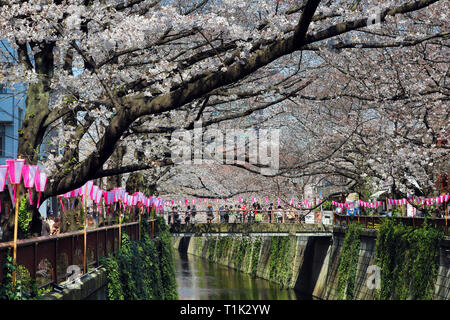 Tokyo, Japan. 27th Mar, 2019. People viewing the cherry blossoms from a bridge over the Meguro River in Tokyo, Japan. Viewing the cherry blossom, or Sakura, has become something of a national past-time for the Japanese, and is a huge draw for tourists. Lasting only about two weeks, it ensures that the most popular viewing areas are always packed. Credit: Paul Brown/Alamy Live News Stock Photo